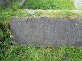 image of grave number 793698